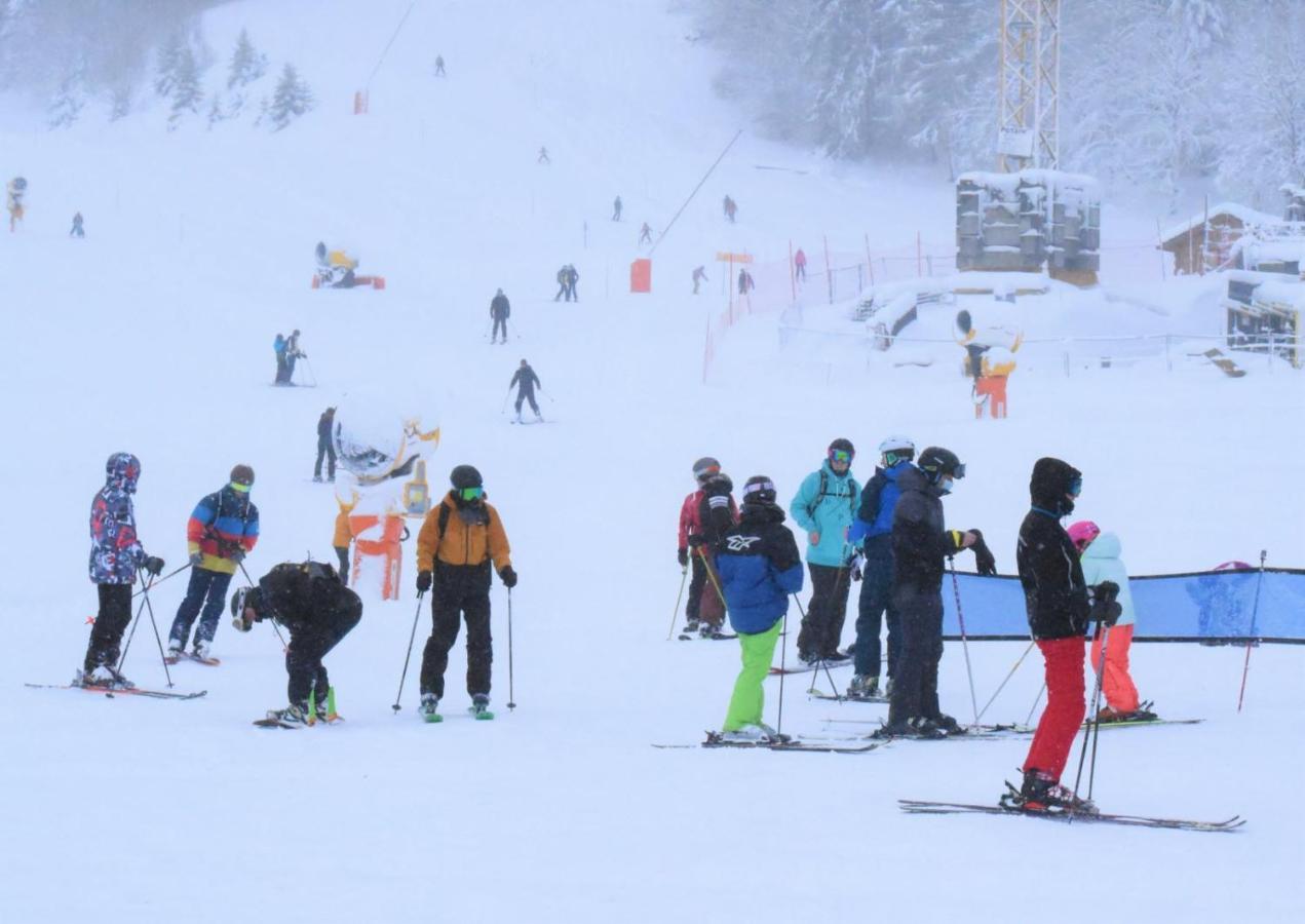 Place Royale Pour 10 A 12 Personnes A 30 Met Des Pistes De Ski Et Vtt Métabief Zewnętrze zdjęcie