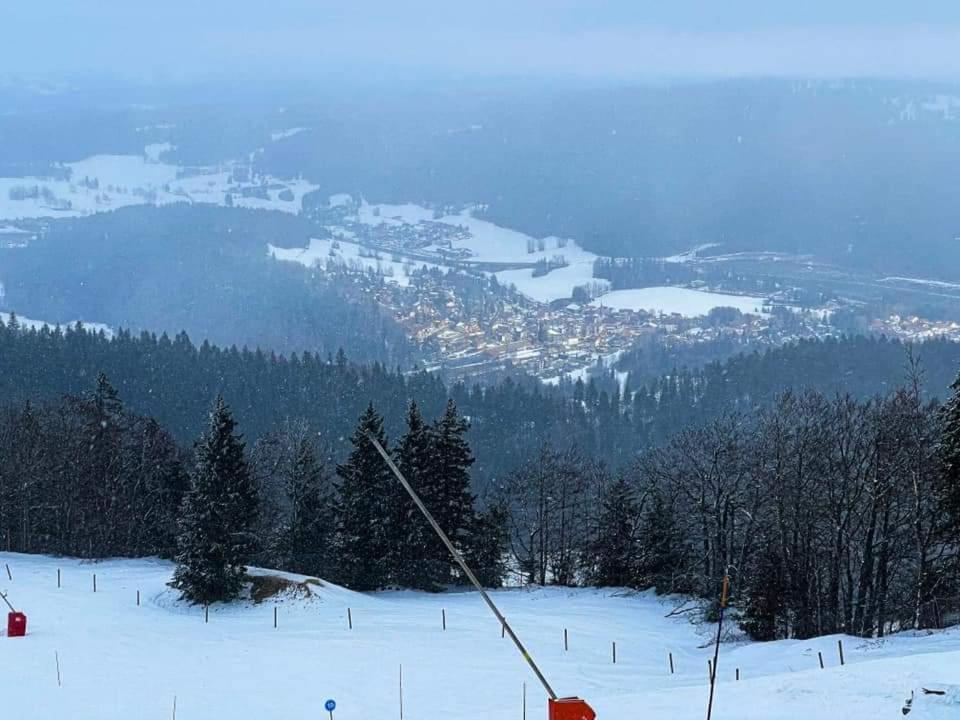 Place Royale Pour 10 A 12 Personnes A 30 Met Des Pistes De Ski Et Vtt Métabief Zewnętrze zdjęcie