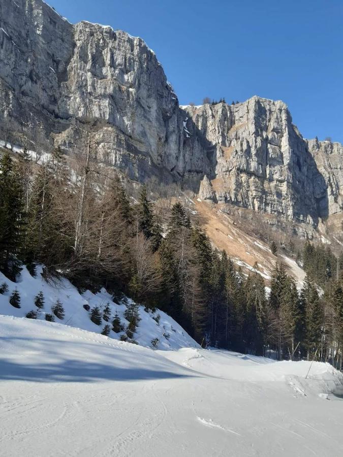 Place Royale Pour 10 A 12 Personnes A 30 Met Des Pistes De Ski Et Vtt Métabief Zewnętrze zdjęcie
