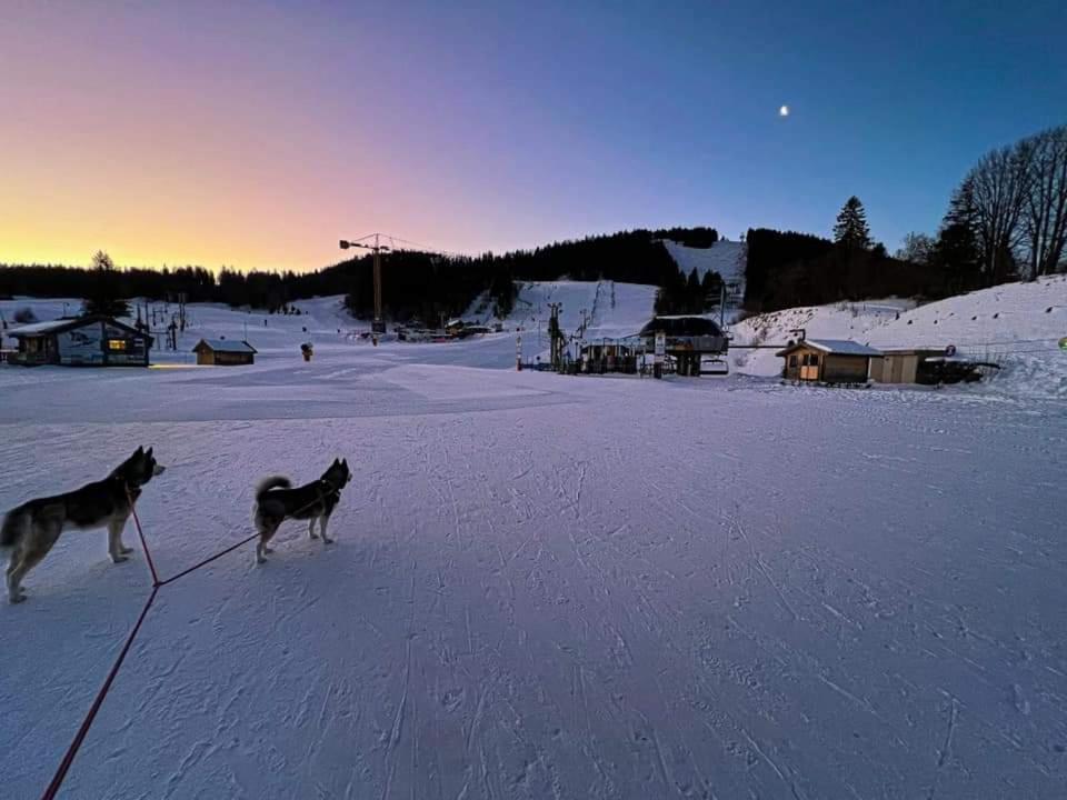 Place Royale Pour 10 A 12 Personnes A 30 Met Des Pistes De Ski Et Vtt Métabief Zewnętrze zdjęcie